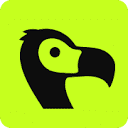Dodo Payments